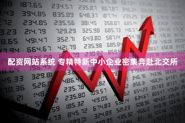 配资网站系统 专精特新中小企业密集奔赴北交所